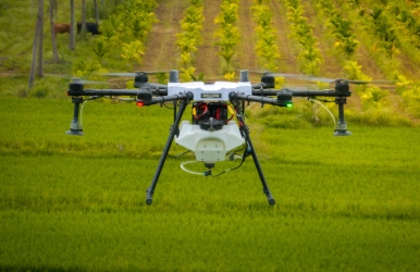 Agri Drones & Spraying Services