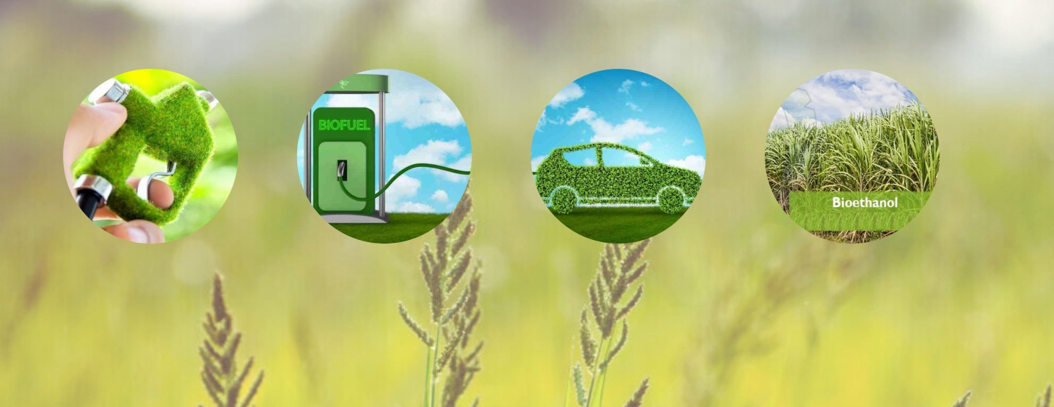 Grain Milling  Solutions for Ethanol Plant